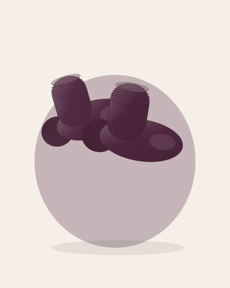 plum studio, plum